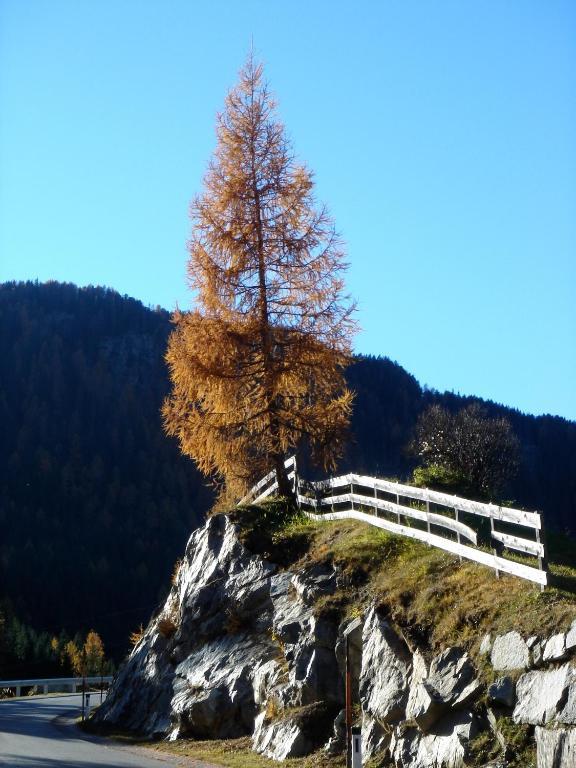 Alpengasthof Zollwirt Sankt Jakob in Defereggen Extérieur photo
