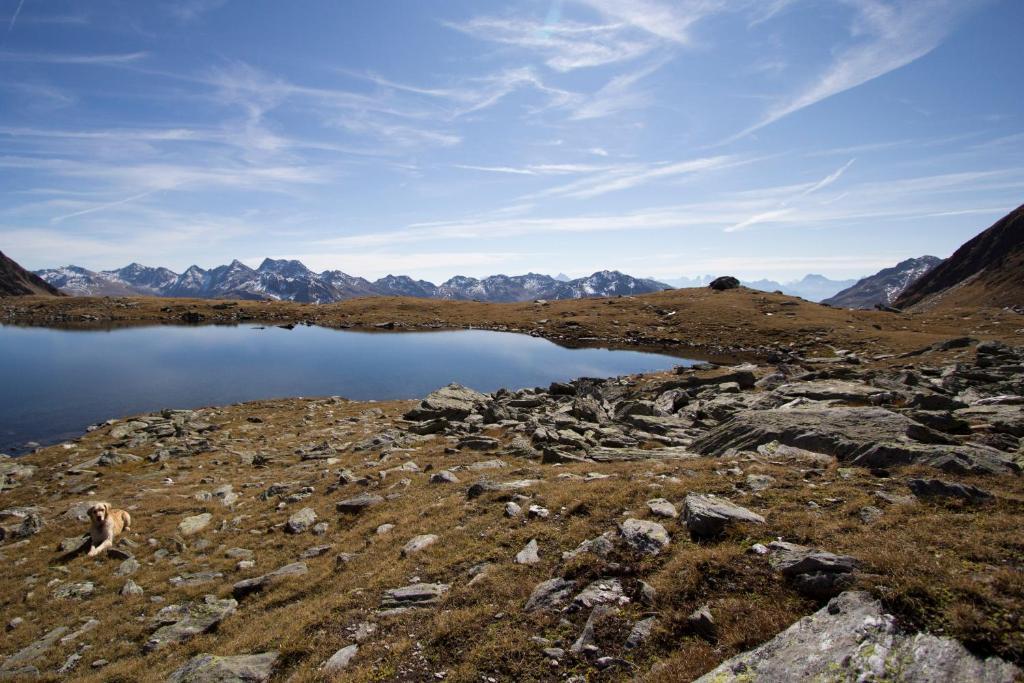 Alpengasthof Zollwirt Sankt Jakob in Defereggen Extérieur photo